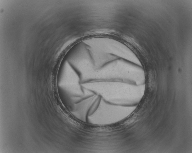 X0000077311404200611101421
