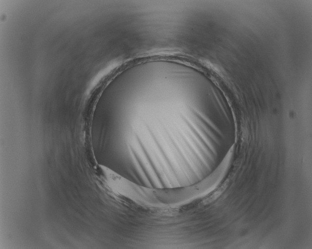 X0000077311406200611101421