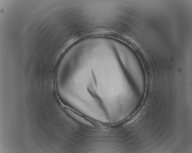 X0000077311409200611101421