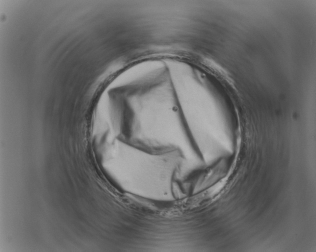 X0000077311411200611101421