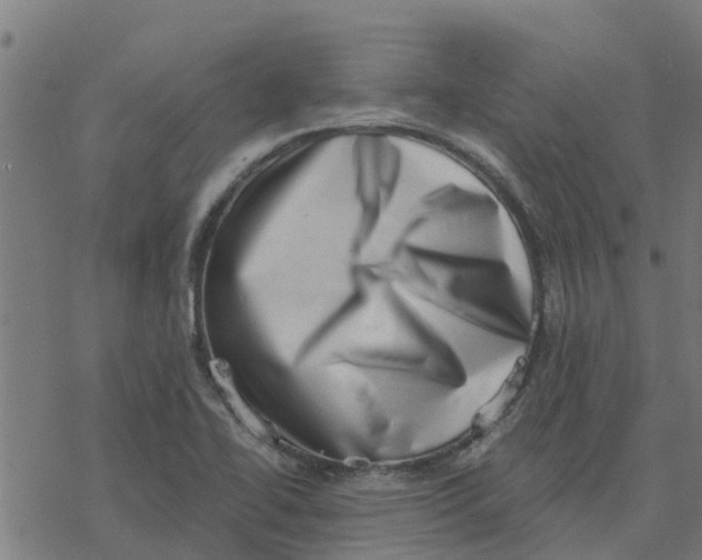 X0000077311414200611101421
