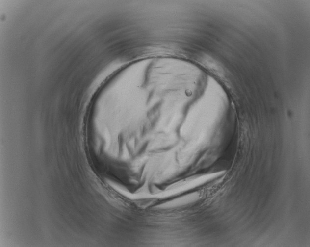 X0000077311427200611101422