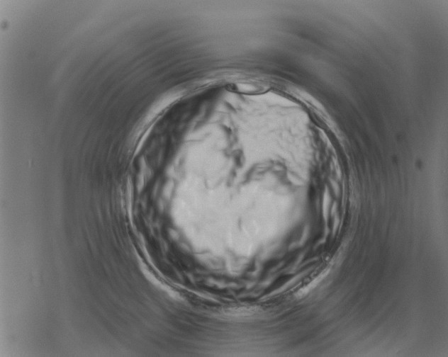 X0000077311433200611101422