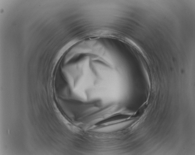 X0000077311434200611101422