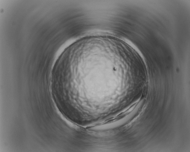 X0000077311437200611101422