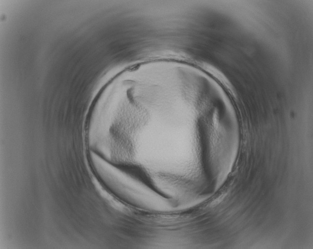 X0000077311439200611101422