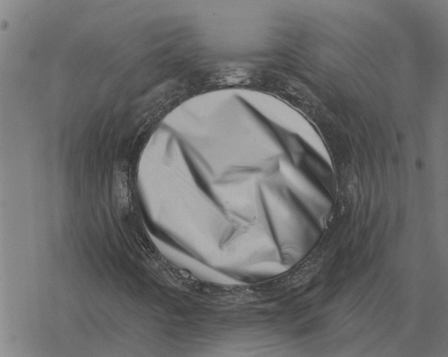 X0000077311442200611101421