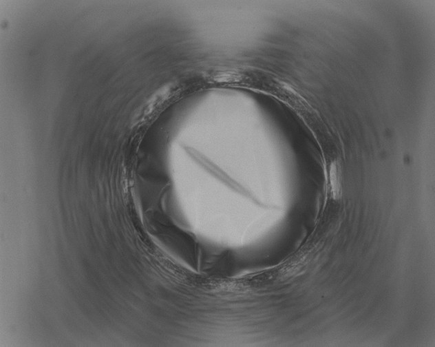 X0000077311443200611101421