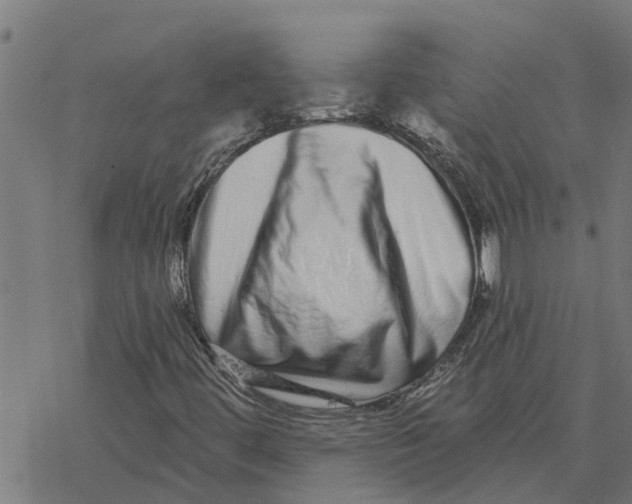 X0000077311444200611101421
