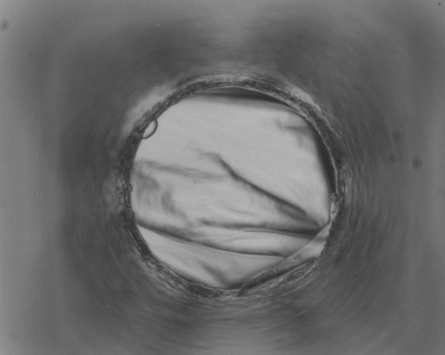 X0000077311448200611101421