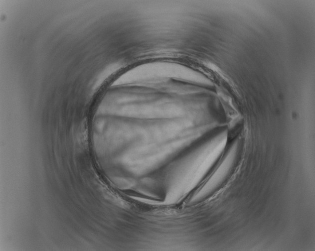 X0000077311450200611101421