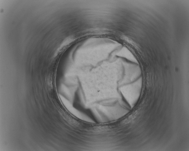 X0000077311451200611101421