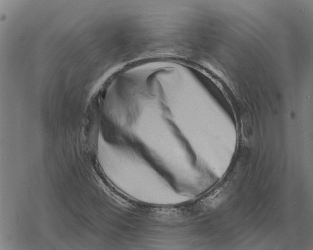 X0000077311452200611101421