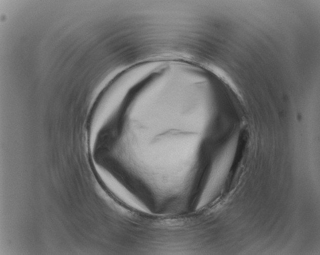 X0000077311476200611101421