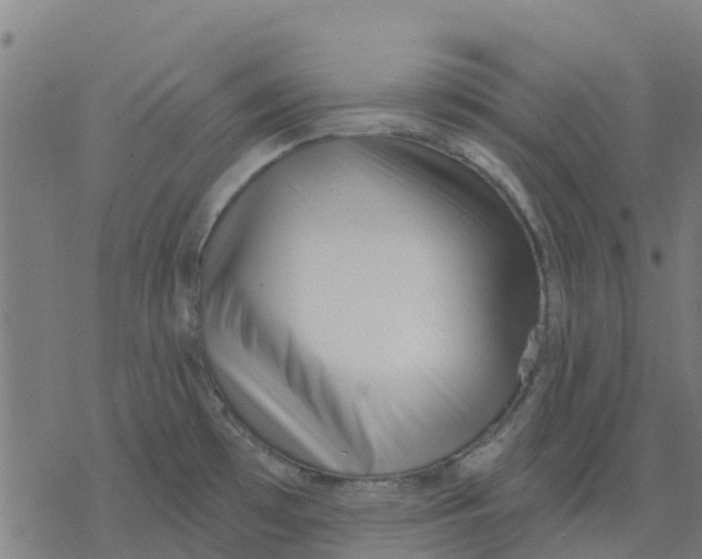 X0000077311481200611101420