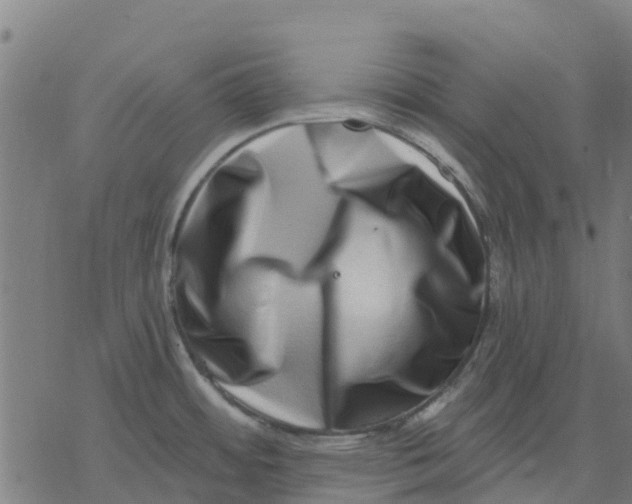 X0000077311484200611101420