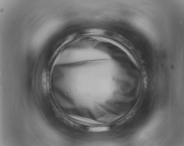 X0000077311487200611101420
