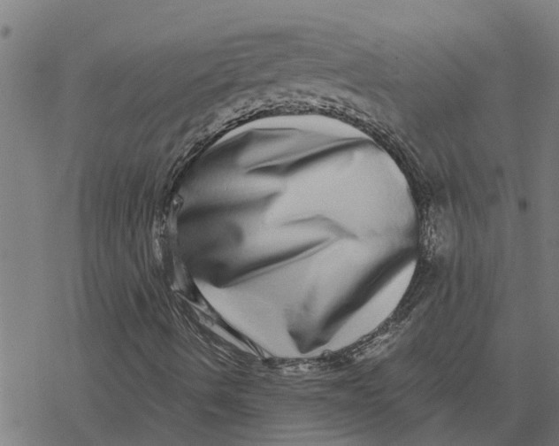 X0000077311490200611101420