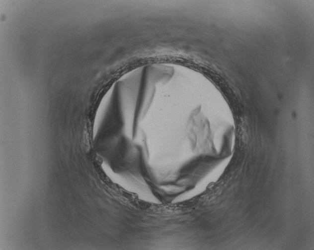 X0000077311493200611101420