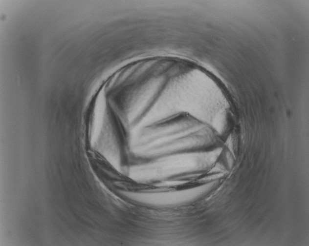 X0000077311508200611101420