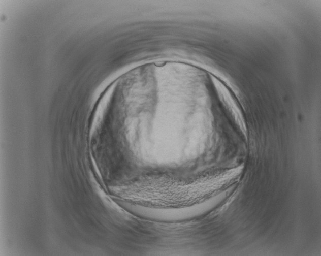 X0000077311534200611101420