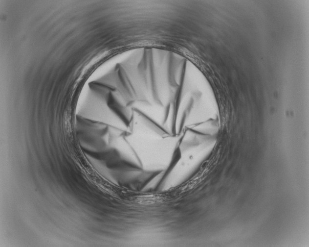 X0000077310050200611171727