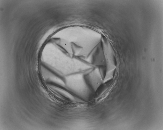 X0000077310056200611171728