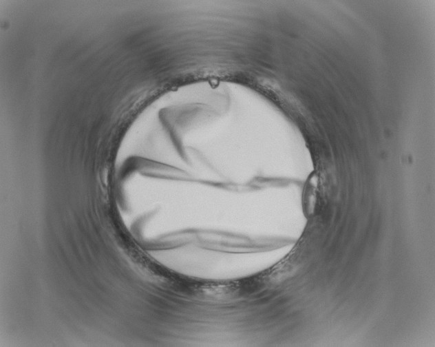 X0000077310070200611171728