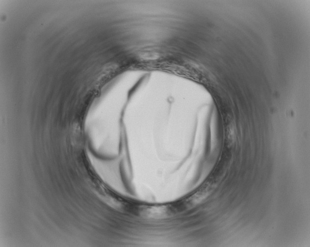 X0000077310081200611171728