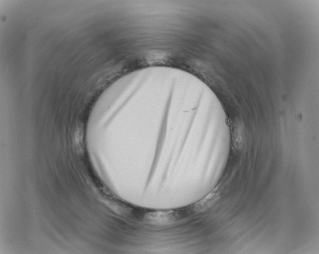 X0000077310082200611171728