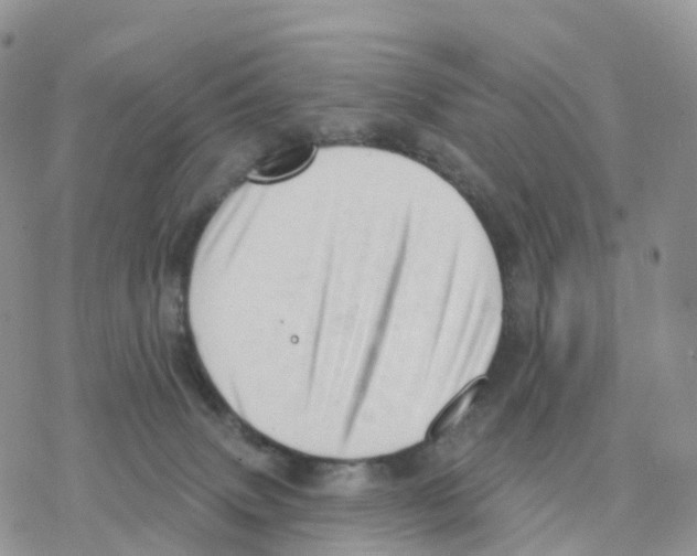 X0000077310083200611171728