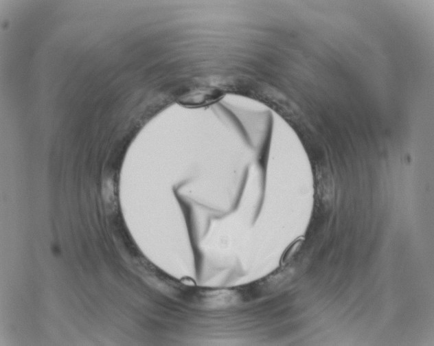 X0000077310087200611171728