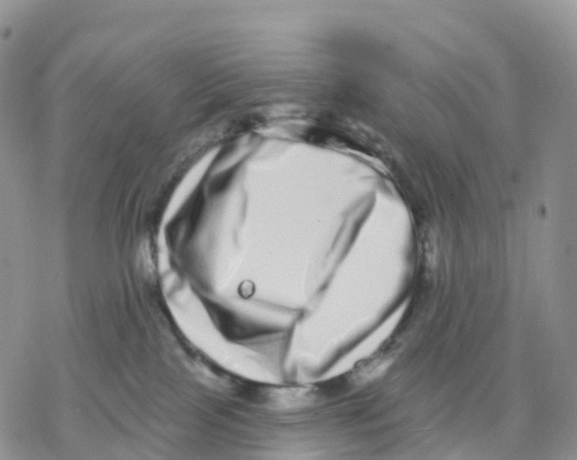 X0000077310089200611171728