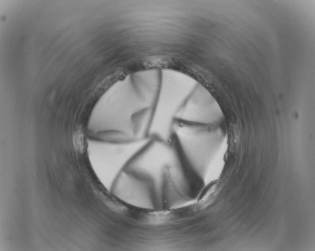 X0000077310090200611171728