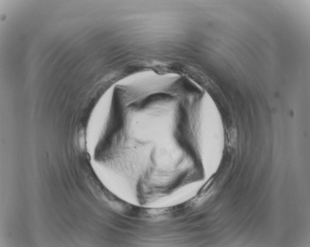 X0000077310095200611171728