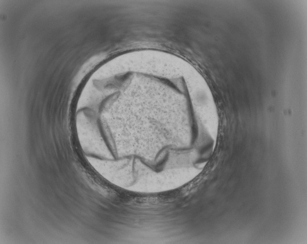 X0000077310104200611171727