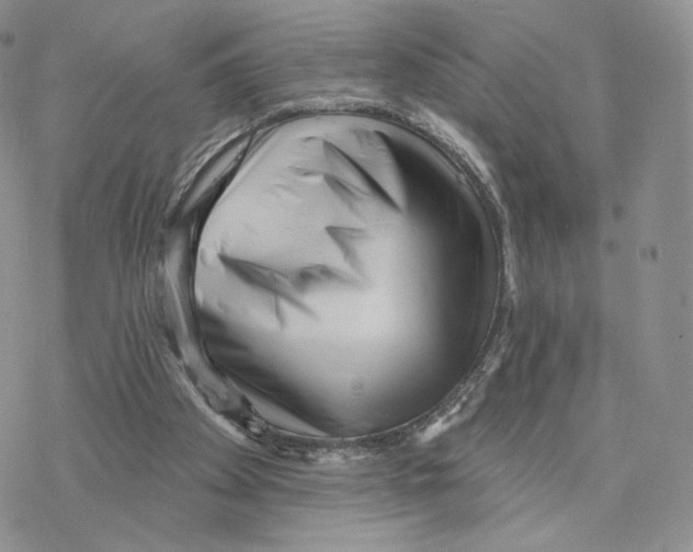 X0000077310105200611171727