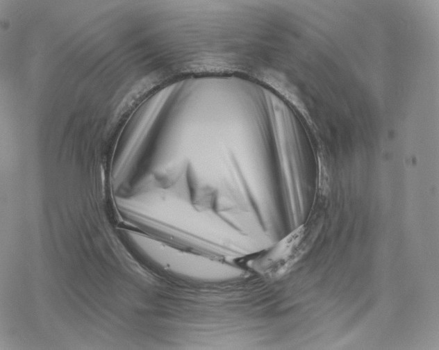 X0000077310109200611171727