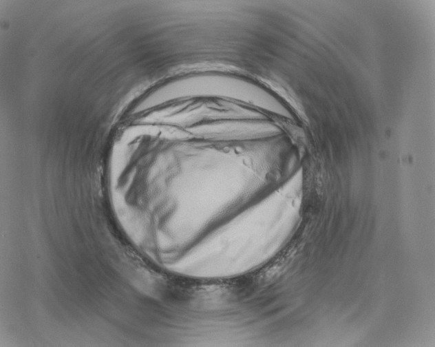X0000077310111200611171727