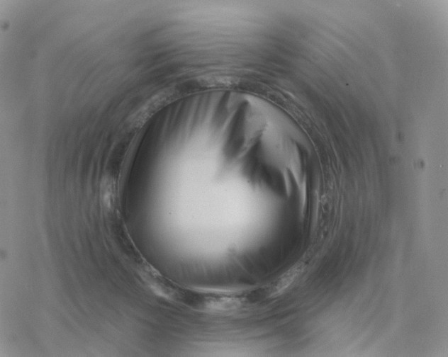 X0000077310125200611171727