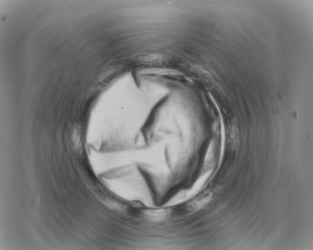 X0000077310131200611171727