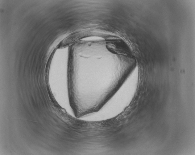 X0000077310147200611171726