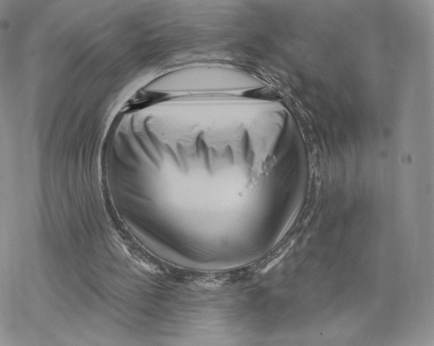 X0000077310148200611171726