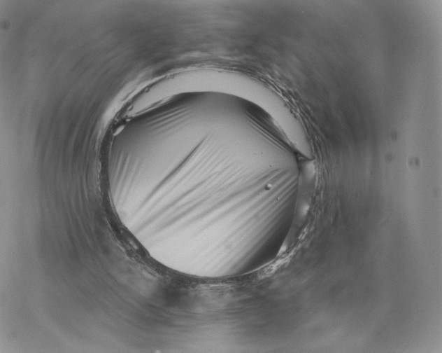 X0000077310150200611171726