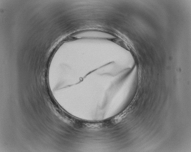 X0000077310155200611171726