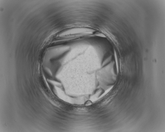 X0000077310157200611171726