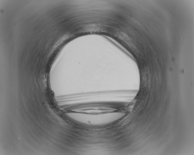 X0000077310160200611171726