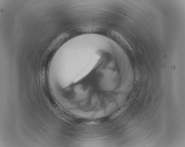 X0000077310163200611171726