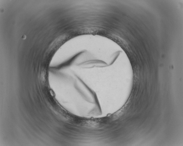 X0000077310166200611171726
