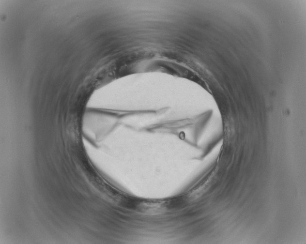 X0000077310170200611171726